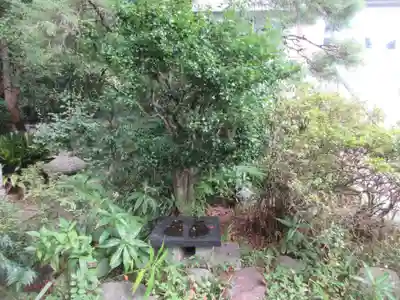 寶泉寺（宝泉寺）(東京都)