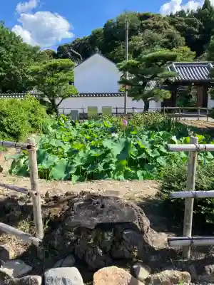 當麻寺(奈良県)