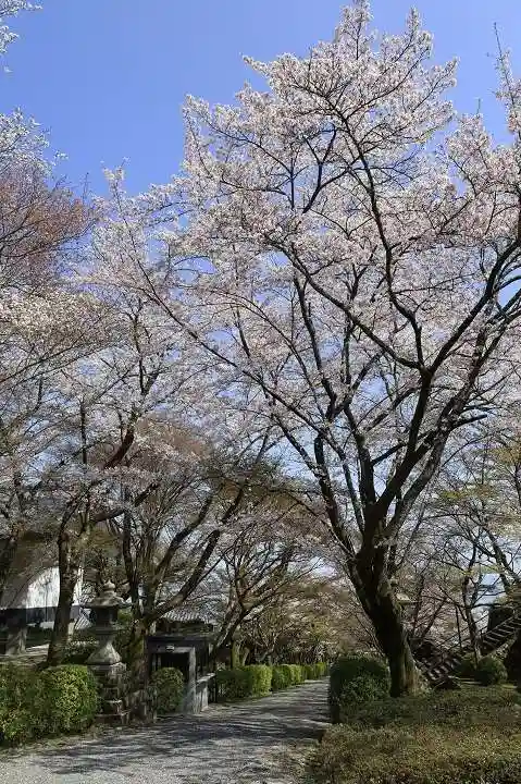 西教寺(滋賀県)