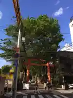 赤城神社の鳥居