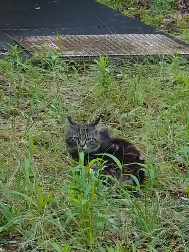 蘇我比咩神社(千葉県)
