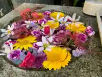 宗隆寺(神奈川県)