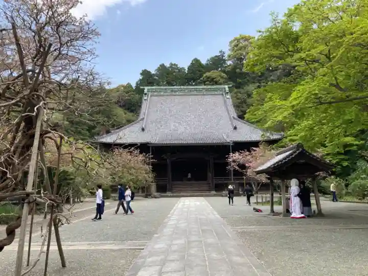 妙本寺のその他建物