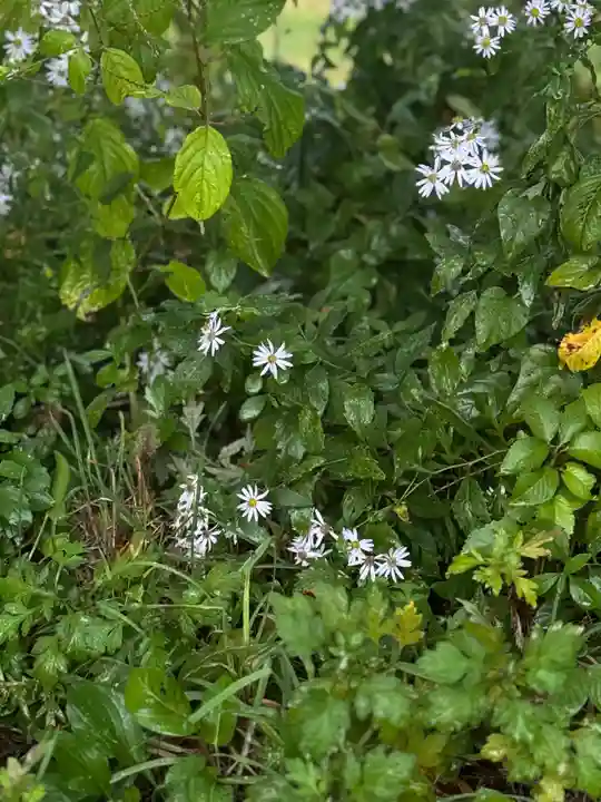 蚊里田八幡宮(長野県)