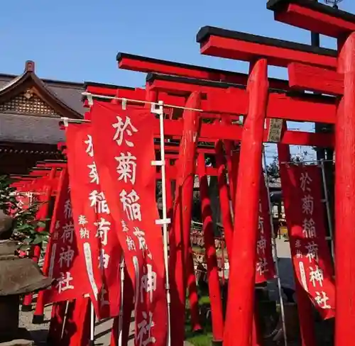 於菊稲荷神社の鳥居