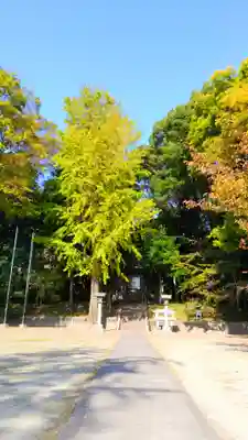 馬島社のその他建物