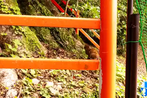 新田神社(鹿児島県)