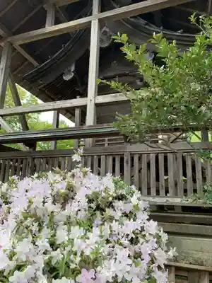 近津神社の本殿・本堂