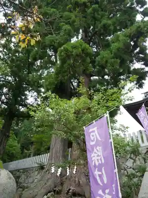 筑波山神社のその他建物