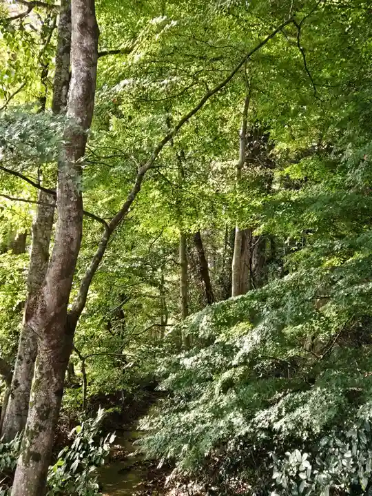 伊佐須美神社(福島県)