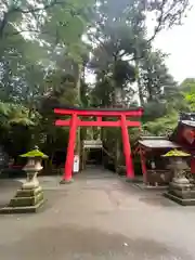 箱根神社(神奈川県)