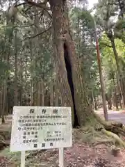 若王子神社の歴史