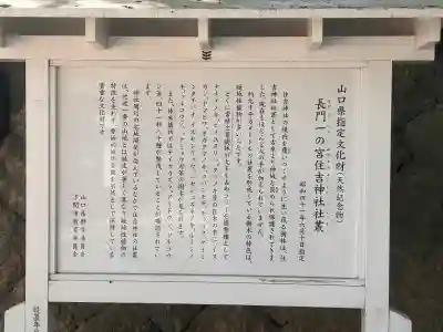 住吉神社の{uncategorized: "未分類", other: "その他", undefined: "問題あり", building: "その他建物", grave: "お墓", sacred_gate: "鳥居", guardian: "狛犬", statue: "像", buddha: "仏像", history: "歴史", nature: "自然", garden: "庭園", animal: "動物", pagoda: "塔", temizu: "手水舎", mountain_gate: "山門・神門", sanctuary: "本殿・本堂", subordinate: "末社・摂社", art: "芸術", scenery: "景色", jizo: "地蔵", ema: "絵馬", goshuin: "御朱印", omikuji: "おみくじ", items: "授与品その他", amulet: "お守り", goshuincho: "御朱印帳", eats: "食事", festival: "お祭り", votive_dance: "神楽", shichigosan: "七五三参", wedding: "結婚式", experience: "体験その他", initially: "初詣", around: "周辺", anti_infection: "感染症対策"}