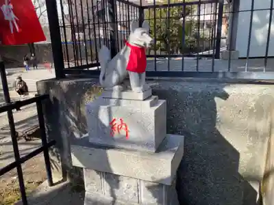 鶴ヶ峰稲荷神社の狛犬