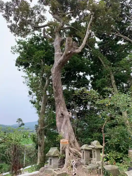 八雲神社の末社・摂社