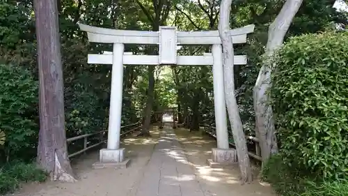 喜多見氷川神社の鳥居