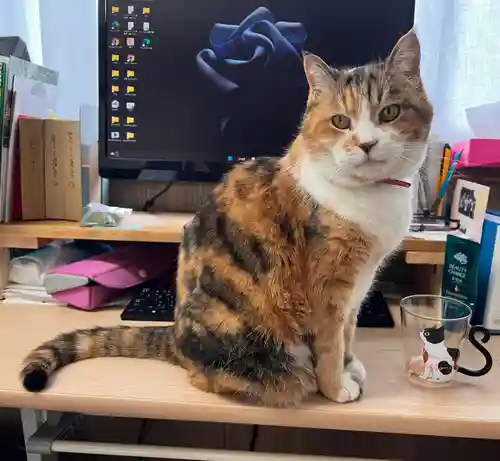 秩父札所十三番 慈眼寺(埼玉県)