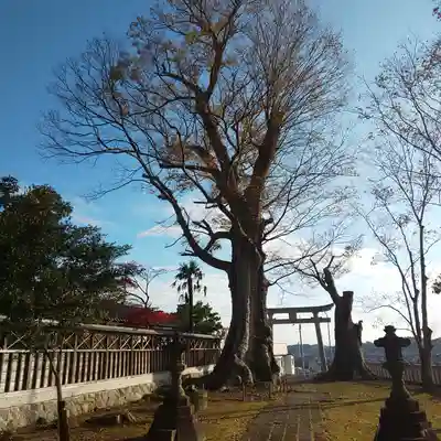 若宮八幡宮のその他建物