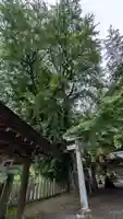 素盞雄神社(奈良県)