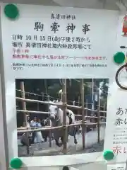 真清田神社のお祭り