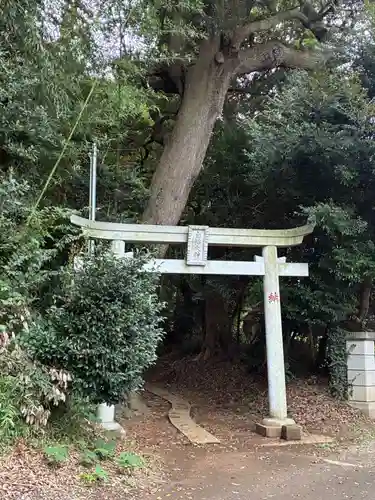 白幡大神(千葉県)