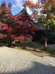 永源寺の自然