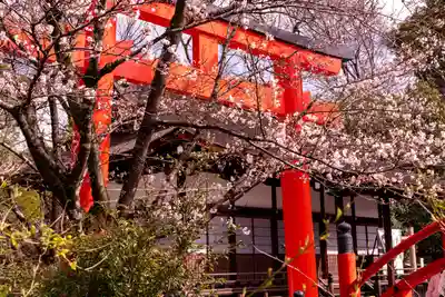 賀茂御祖神社(下鴨神社)の鳥居