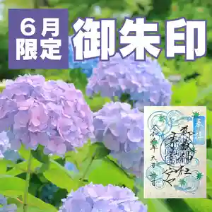 【2024年・全国版】6月の限定御朱印65選！紫陽花や夏越の大祓・茅の輪のカラフルな御朱印を紹介