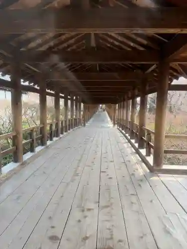 東福禅寺（東福寺）の{uncategorized: "未分類", other: "その他", undefined: "問題あり", building: "その他建物", grave: "お墓", sacred_gate: "鳥居", guardian: "狛犬", statue: "像", buddha: "仏像", history: "歴史", nature: "自然", garden: "庭園", animal: "動物", pagoda: "塔", temizu: "手水舎", mountain_gate: "山門・神門", sanctuary: "本殿・本堂", subordinate: "末社・摂社", art: "芸術", scenery: "景色", jizo: "地蔵", ema: "絵馬", goshuin: "御朱印", omikuji: "おみくじ", items: "授与品その他", amulet: "お守り", goshuincho: "御朱印帳", eats: "食事", festival: "お祭り", votive_dance: "神楽", shichigosan: "七五三参", wedding: "結婚式", experience: "体験その他", initially: "初詣", around: "周辺", anti_infection: "感染症対策"}