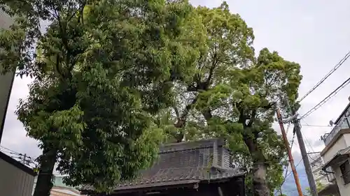 秋葉神社の自然