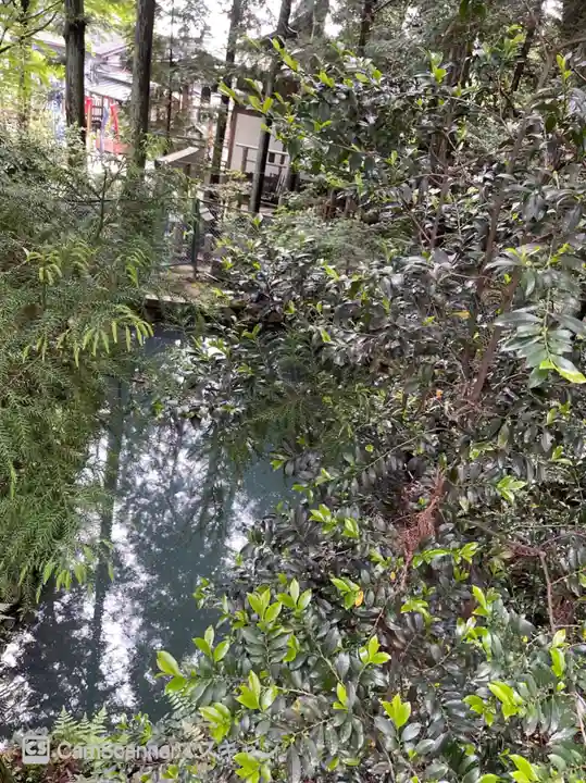 龍光寺(大阪府)