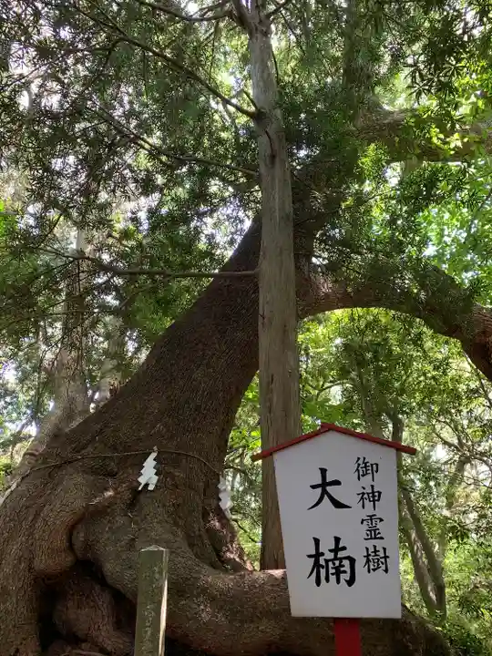住吉神社の自然
