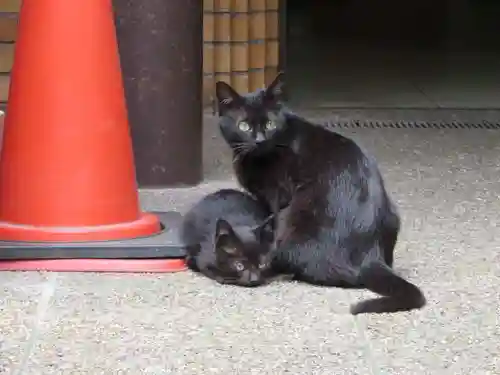 瑞泉寺(京都府)