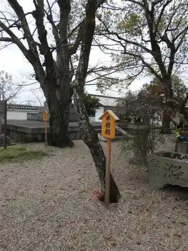 道明寺の庭園