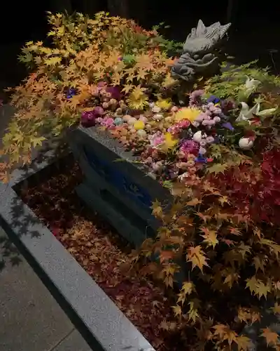 滑川神社 - 仕事と子どもの守り神の手水