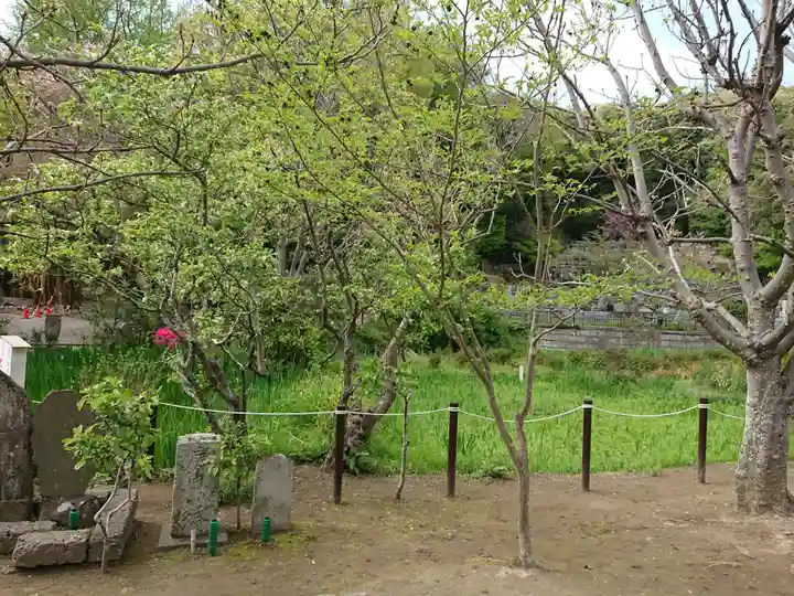 龍寳寺(龍宝寺)(神奈川県)