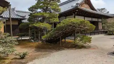 鹿苑寺（金閣寺）の庭園