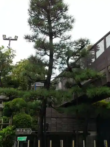 廣源院東福寺の自然