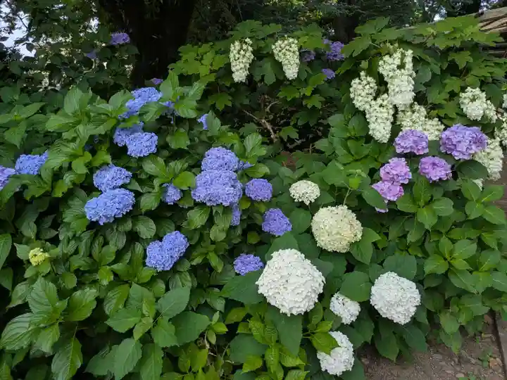 大宝八幡宮(茨城県)