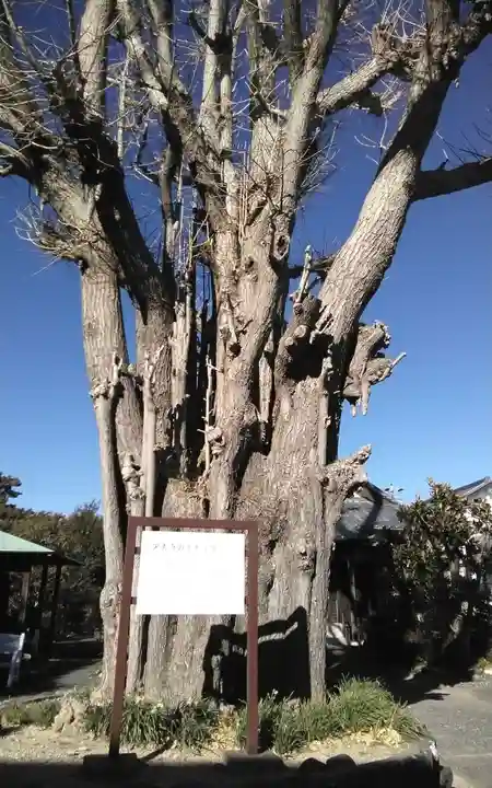 栄秀寺(静岡県)