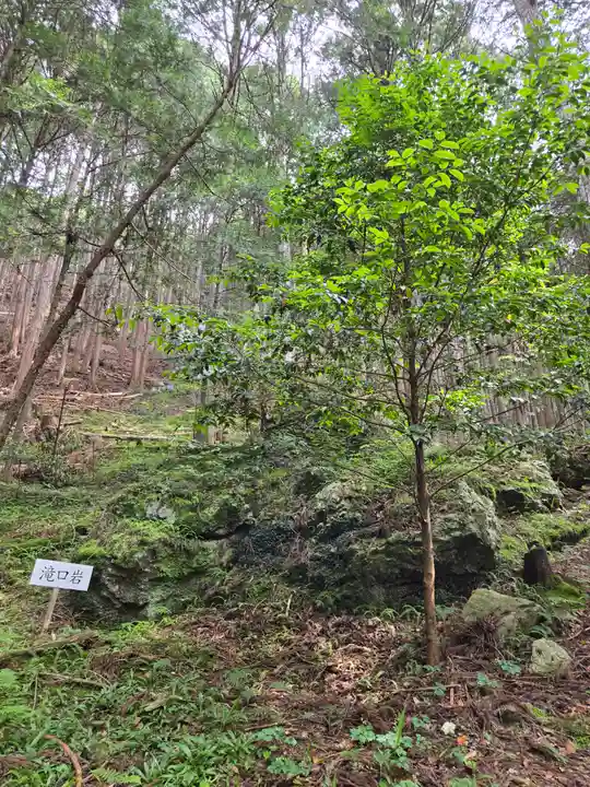 戸隠神社(岐阜県)