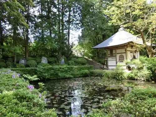 雲樹寺の庭園