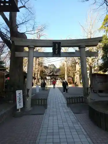 亀岡八幡宮（亀岡八幡神社）の鳥居