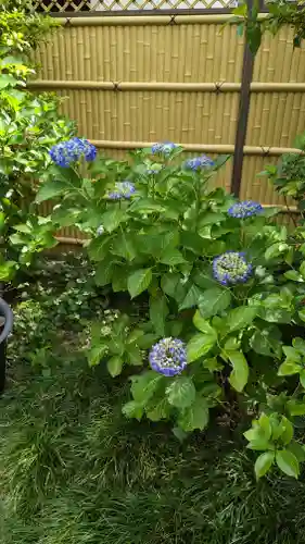 行願寺（革堂）(京都府)