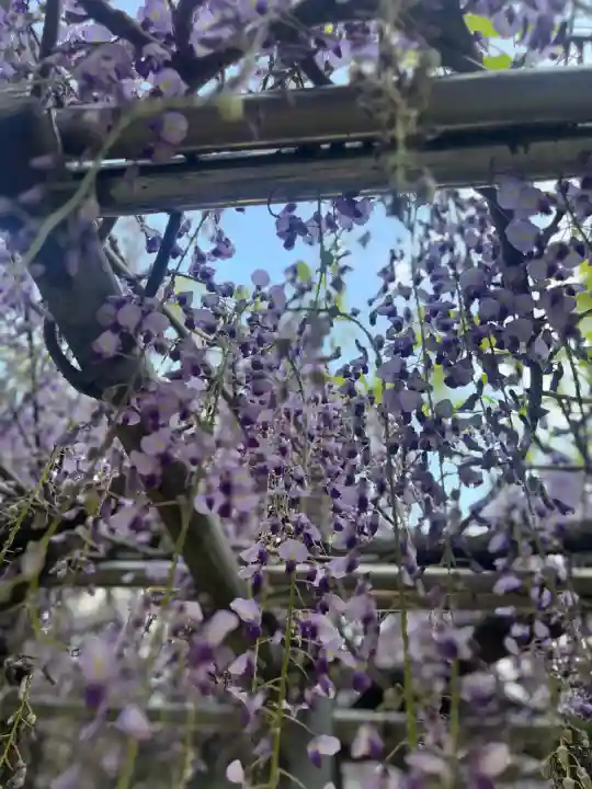 高野口八幡神社の{uncategorized: "未分類", other: "その他", undefined: "問題あり", building: "その他建物", grave: "お墓", sacred_gate: "鳥居", guardian: "狛犬", statue: "像", buddha: "仏像", history: "歴史", nature: "自然", garden: "庭園", animal: "動物", pagoda: "塔", temizu: "手水舎", mountain_gate: "山門・神門", sanctuary: "本殿・本堂", subordinate: "末社・摂社", art: "芸術", scenery: "景色", jizo: "地蔵", ema: "絵馬", goshuin: "御朱印", omikuji: "おみくじ", items: "授与品その他", amulet: "お守り", goshuincho: "御朱印帳", eats: "食事", festival: "お祭り", votive_dance: "神楽", shichigosan: "七五三参", wedding: "結婚式", experience: "体験その他", initially: "初詣", around: "周辺", anti_infection: "感染症対策"}