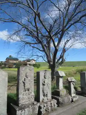 子の権現神社(埼玉県)