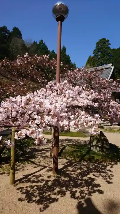 宗雲寺のその他建物