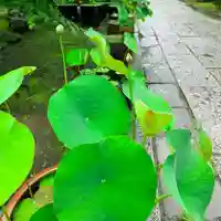 伊勢の国 四天王寺(三重県)