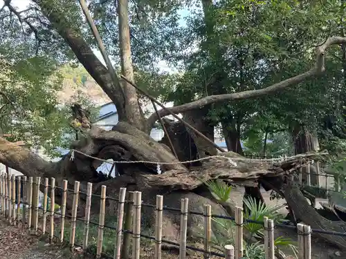 草薙神社(静岡県)