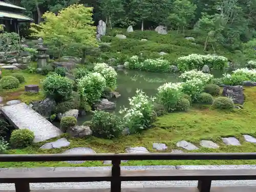 両足院の庭園